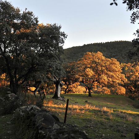 La Molinilla Apartamentos Y Hammam (Adults Only) Линарес-де-ла-Сьерра Экстерьер фото